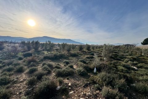 Terra a Abaran, Murcia, Abaran - € 82.000 | Ref: 2494 - foto 16