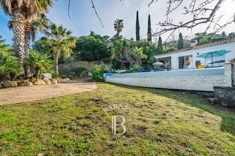 Villa a Saint-Florent, Haute-Corse, Saint-Florent - € 1.895.000 | Ref: RV2073 - foto 19