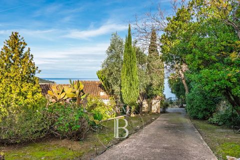 Villa a Saint-Florent, Haute-Corse, Saint-Florent - € 1.895.000 | Ref: RV2073 - foto 20