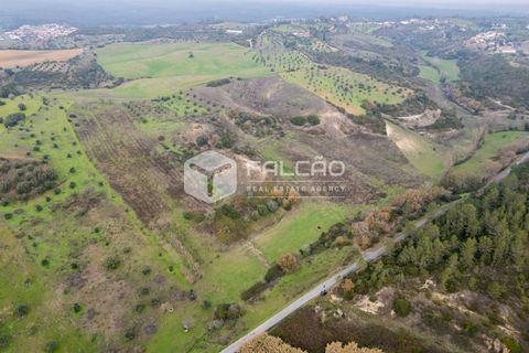 Tomt i Santarem, Santarem, Santarem - € 180 000 | Ref: FR962 - foto 13