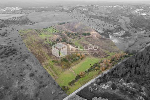 Tomt i Santarem, Santarem, Santarem - € 180 000 | Ref: FR962 - foto 14