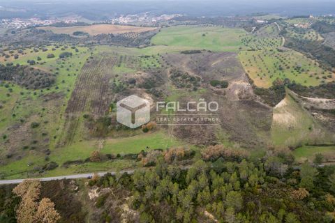 Tomt i Santarem, Santarem, Santarem - € 180 000 | Ref: FR962 - foto 12