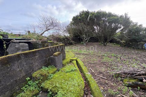 Villa i Lajes do Pico, Pico, Lajes do Pico - € 248.000 | Ref: 374260011 - foto 18