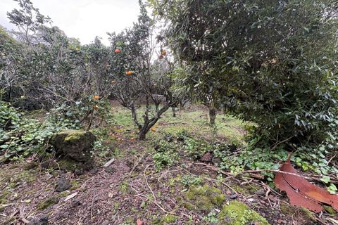 Villa i Lajes do Pico, Pico, Lajes do Pico - € 248.000 | Ref: 374260011 - foto 19
