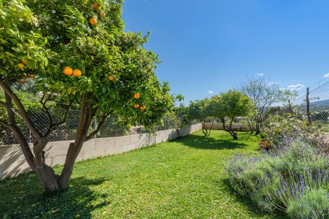 Landsbyhus i Campanet, Mallorca, Campanet - € 1.950.000 | Ref: CAM20710 - foto 6