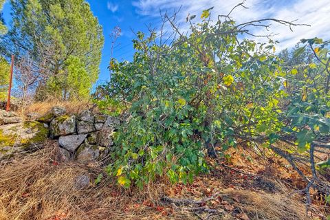 Terra em Avila, Avila, Avila - € 225.000 | Ref: 770084 - foto 18