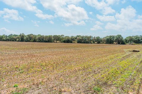 Terra a Son Gual, Mallorca, Son Gual - € 3.000.000 | Ref: FALC-Nep-62192 - foto 3