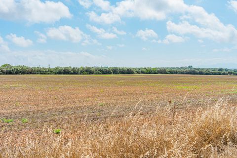Terra a Son Gual, Mallorca, Son Gual - € 3.000.000 | Ref: FALC-Nep-62192 - foto 4