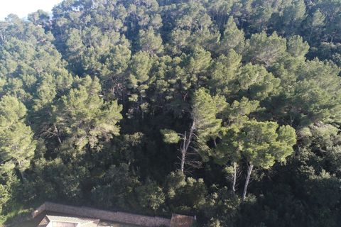 Villa i Port De Pollenca, Mallorca, Port De Pollenca - € 3.025.000 | Ref: FALC-Nep-62317 - foto 11