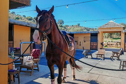 Finca i Coin, Malaga, Coin - € 2.800.000 | Ref: BEMV1491 - foto 1