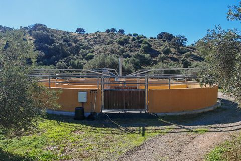 Finca i Coin, Malaga, Coin - € 2.800.000 | Ref: BEMV1491 - foto 5