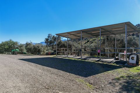 Finca i Coin, Malaga, Coin - € 2.800.000 | Ref: BEMV1491 - foto 6