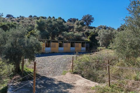 Finca i Coin, Malaga, Coin - € 2.800.000 | Ref: BEMV1491 - foto 7