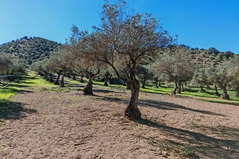 Finca i Coin, Malaga, Coin - € 2.800.000 | Ref: BEMV1491 - foto 34