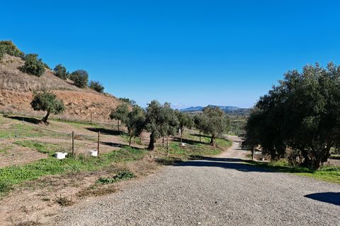 Finca i Coin, Malaga, Coin - € 2.800.000 | Ref: BEMV1491 - foto 35