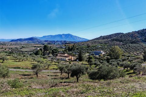 Finca i Coin, Malaga, Coin - € 2.800.000 | Ref: BEMV1491 - foto 36