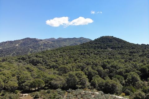 Finca i Ojen, Malaga, Ojen - € 595.000 | Ref: BEMV1495 - foto 23