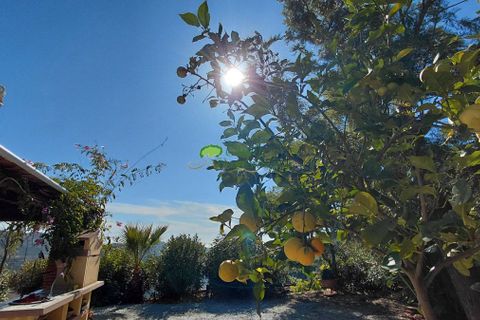 Landejendom i Competa, Malaga, Competa - € 498.000 | Ref: 7965 - foto 34