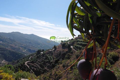 Landejendom i Competa, Malaga, Competa - € 498.000 | Ref: 7965 - foto 36