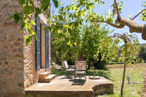Erhvervsejendom i Arta, Mallorca, Arta - € 4.500.000 | Ref: 4896V - foto 7