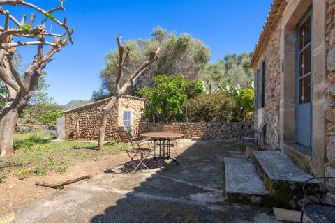 Erhvervsejendom i Arta, Mallorca, Arta - € 4.500.000 | Ref: 4896V - foto 10
