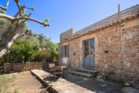 Erhvervsejendom i Arta, Mallorca, Arta - € 4.500.000 | Ref: 4896V - foto 11