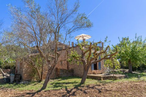 Erhvervsejendom i Arta, Mallorca, Arta - € 4.500.000 | Ref: 4896V - foto 17