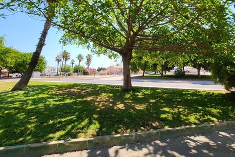 Leilighet i Torrevieja, Alicante, Torrevieja - € 139 990 | Ref: AG19MLSC5234976 - foto 24
