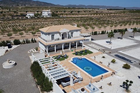 Villa a Pinoso, Alicante, Pinoso - € 449.000 | Ref: AM-PNLCY195 - foto 31