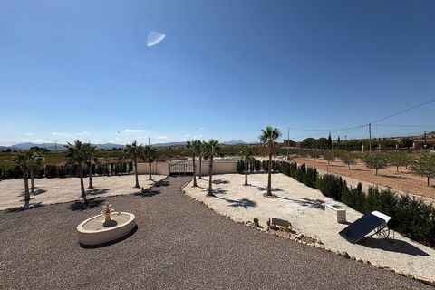Villa a Pinoso, Alicante, Pinoso - € 449.000 | Ref: AM-PNLCY195 - foto 37