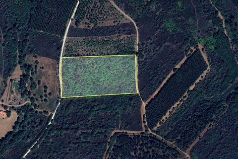 Tomt i Sabugal, Guarda, Sabugal - € 31 500 | Ref: 752203 - foto 2
