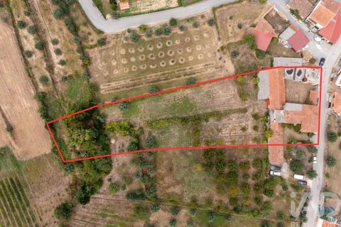 Byhus i Penacova, Coimbra, Penacova - € 235.000 | Ref: 794851 - foto 5