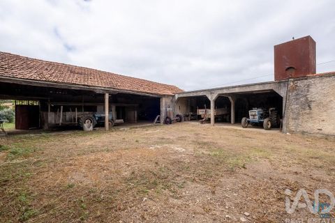 Byhus i Penacova, Coimbra, Penacova - € 235.000 | Ref: 794851 - foto 21