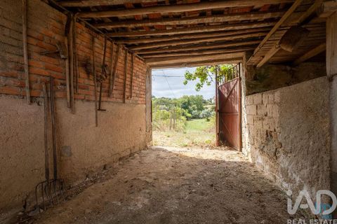 Byhus i Penacova, Coimbra, Penacova - € 235.000 | Ref: 794851 - foto 22