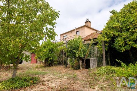 Byhus i Penacova, Coimbra, Penacova - € 235.000 | Ref: 794851 - foto 24