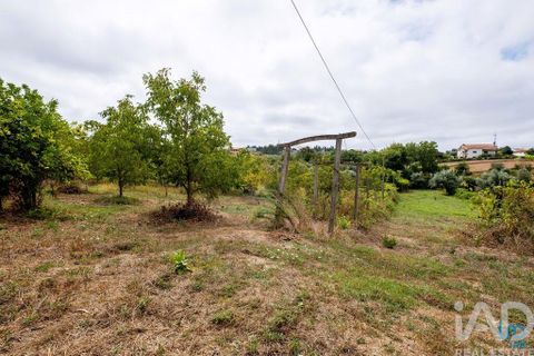 Byhus i Penacova, Coimbra, Penacova - € 235.000 | Ref: 794851 - foto 28