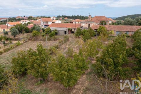 Byhus i Penacova, Coimbra, Penacova - € 235.000 | Ref: 794851 - foto 29