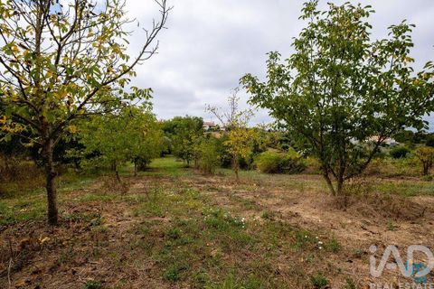 Byhus i Penacova, Coimbra, Penacova - € 235.000 | Ref: 794851 - foto 33