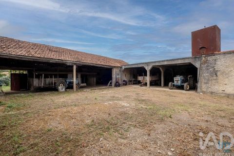 Byhus i Penacova, Coimbra, Penacova - € 235.000 | Ref: 794851 - foto 35