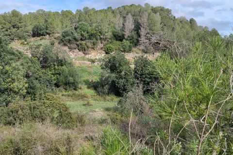 Finca i Benifallet, Tarragona, Benifallet - € 10.000 | Ref: Jr - foto 7