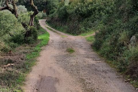Finca i Benifallet, Tarragona, Benifallet - € 10.000 | Ref: Jr - foto 4