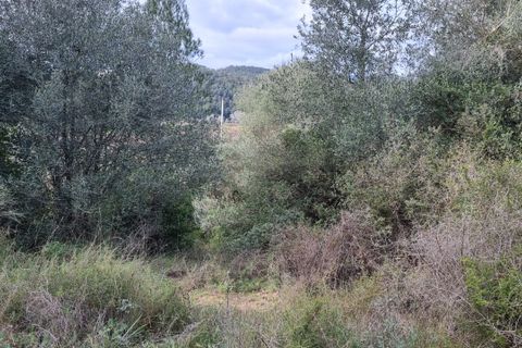 Finca i Benifallet, Tarragona, Benifallet - € 10.000 | Ref: Jr - foto 6