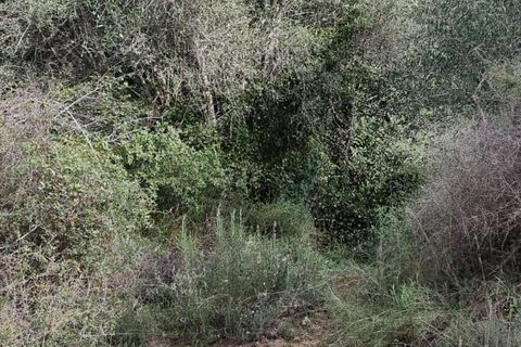 Finca i Benifallet, Tarragona, Benifallet - € 10.000 | Ref: Jr - foto 3