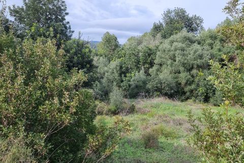 Finca i Benifallet, Tarragona, Benifallet - € 10.000 | Ref: Jr - foto 1