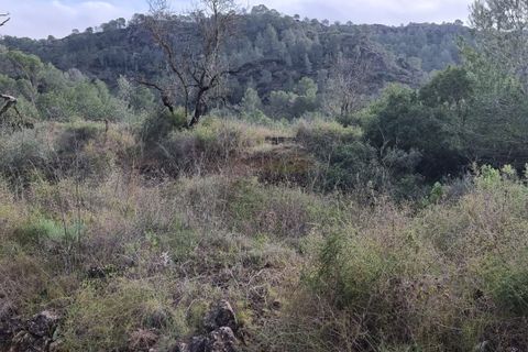 Finca i Benifallet, Tarragona, Benifallet - € 10.000 | Ref: Jr - foto 2