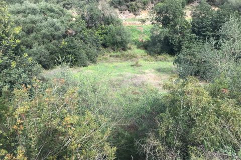 Finca i Benifallet, Tarragona, Benifallet - € 10.000 | Ref: Jr - foto 8