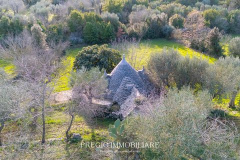 Ruïna a Putignano, Bari, Putignano - € 68.000 | Ref: 9113RA54811 - foto 12