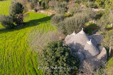 Ruïna a Putignano, Bari, Putignano - € 68.000 | Ref: 9113RA54811 - foto 7