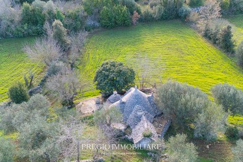 Ruïna a Putignano, Bari, Putignano - € 68.000 | Ref: 9113RA54811 - foto 14