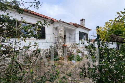 Byhus i Sintra, Lisbon, Sintra - € 850.000 | Ref: 70201 - foto 1